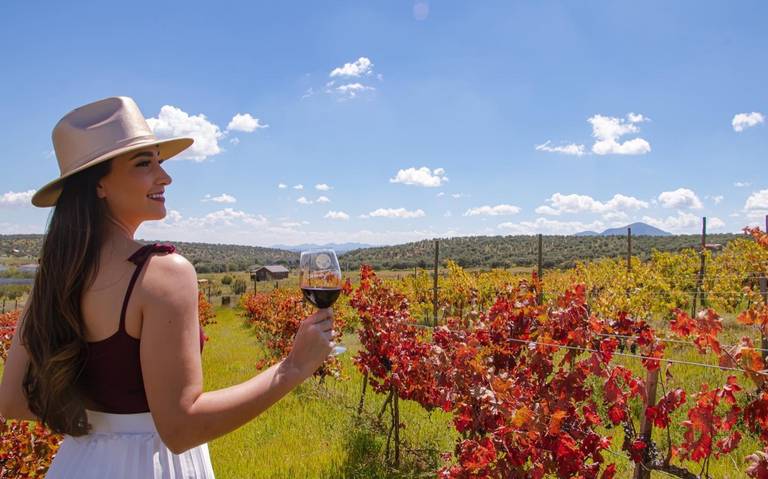 Un vinito Integran a Cuauhtémoc en catálogo de enoturismo thumbnail