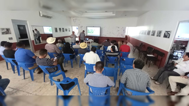 Participa Sader en talleres para mejorar suelos en el cultivo del limón thumbnail