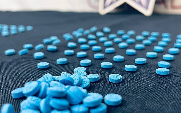fentalino thumbnail