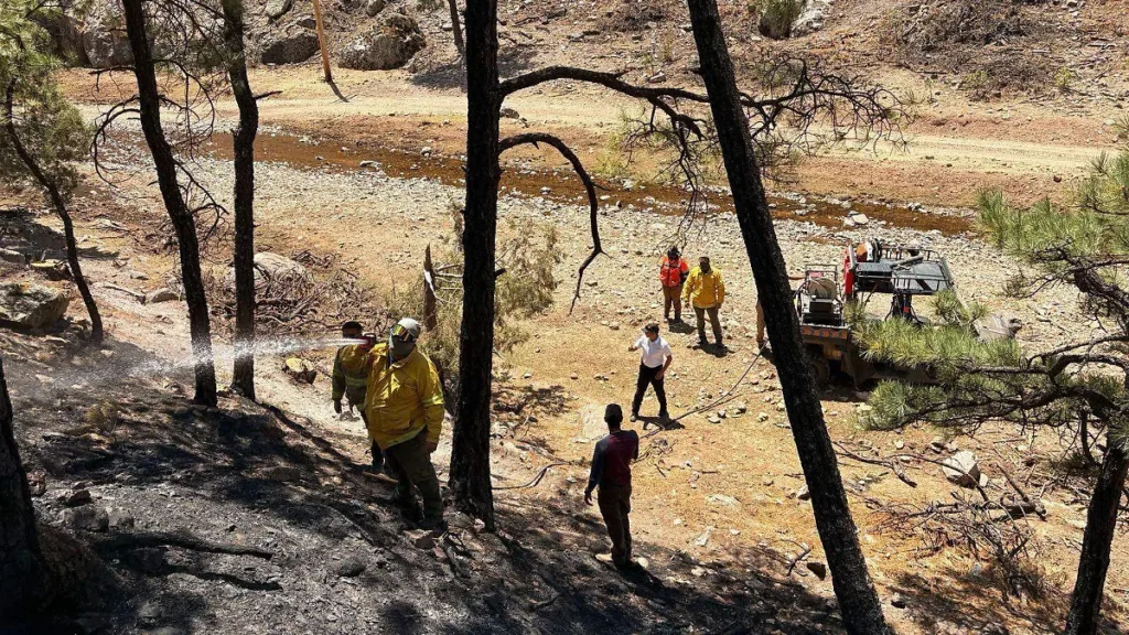 Trabaja Protección Civil en la comunidad Cueva del Toro en Guerrero para combatir incendios forestales thumbnail