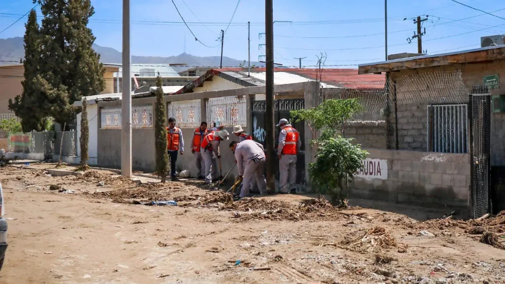 image (17) thumbnail